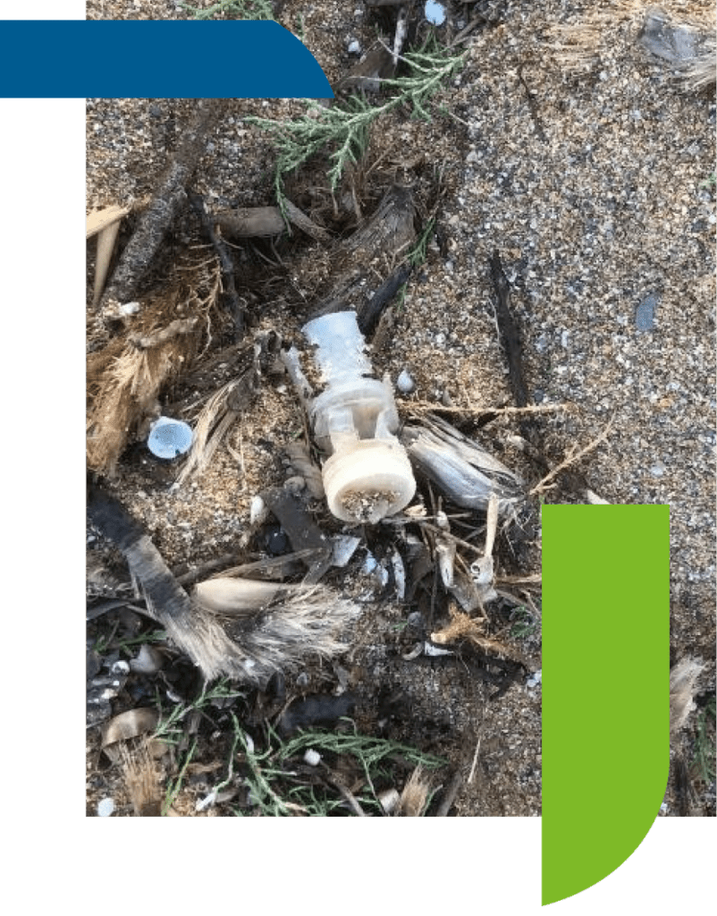NOVIZON shotshell wad after being fired in the environment